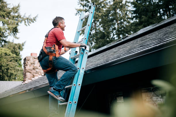 Best Solar Panel Roofing Installation  in Melvindale, MI